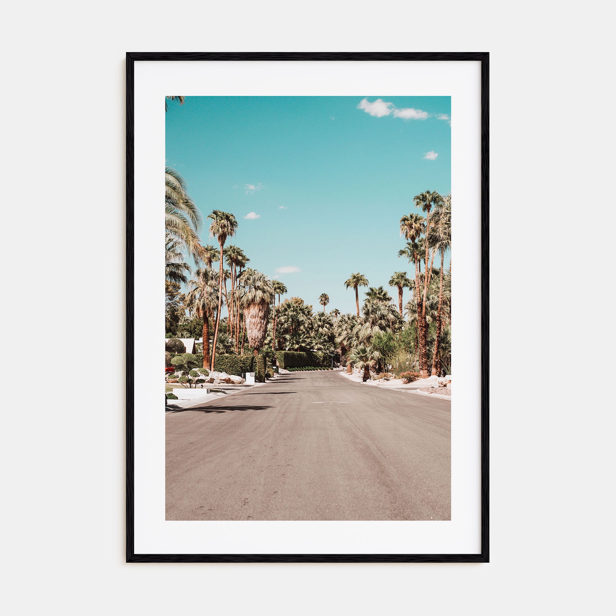 Palm Springs Photo Color No 1 Poster
