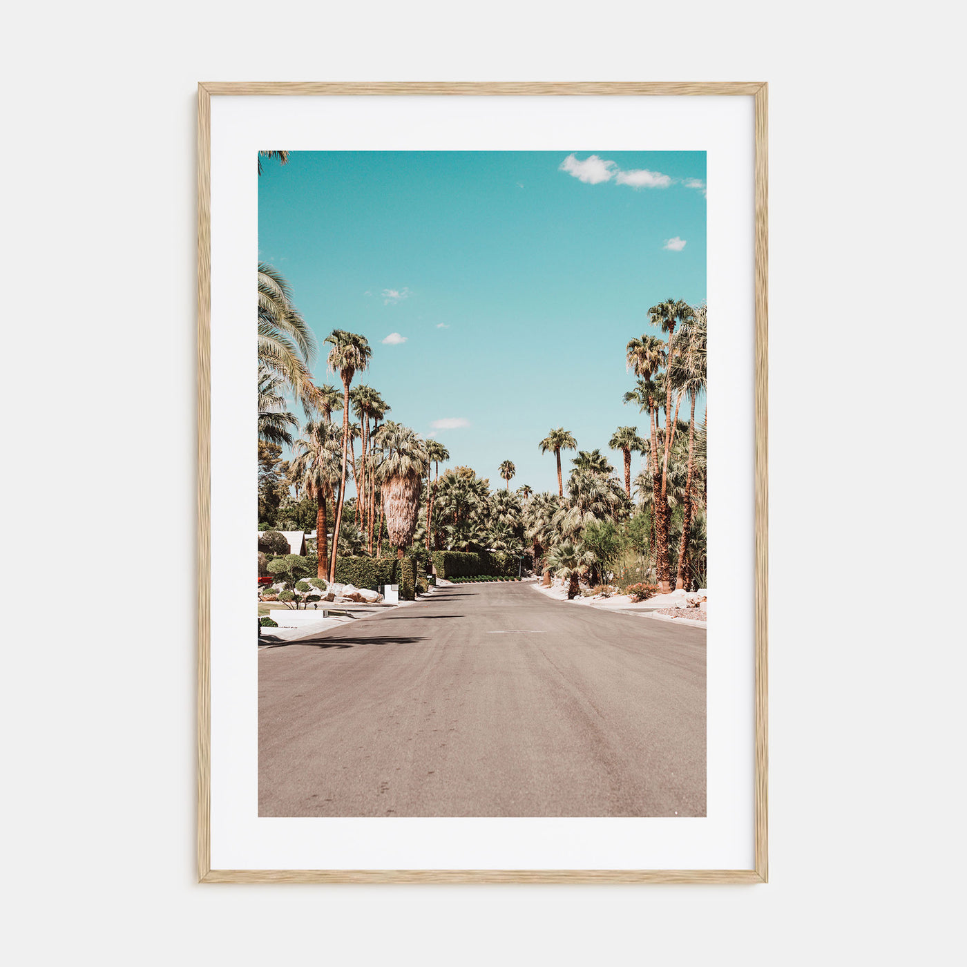 Palm Springs Photo Color No 1 Poster