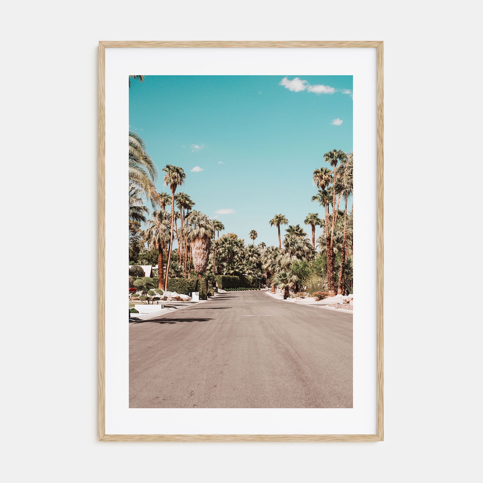 Palm Springs Photo Color No 1 Poster