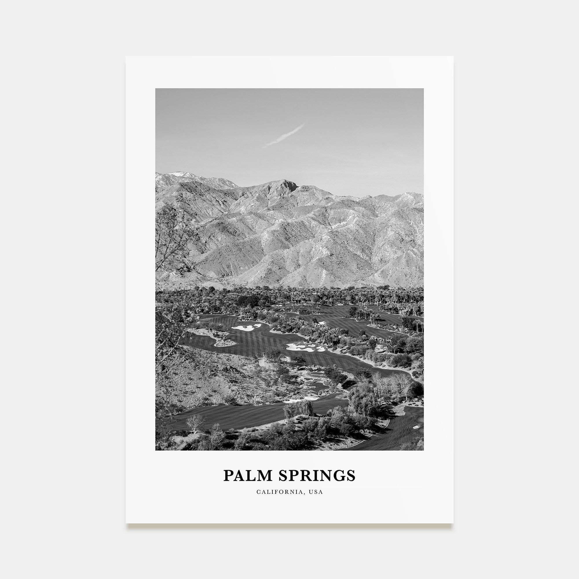 Palm Springs Portrait B&W No 2 Poster