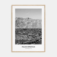 Palm Springs Portrait B&W No 2 Poster
