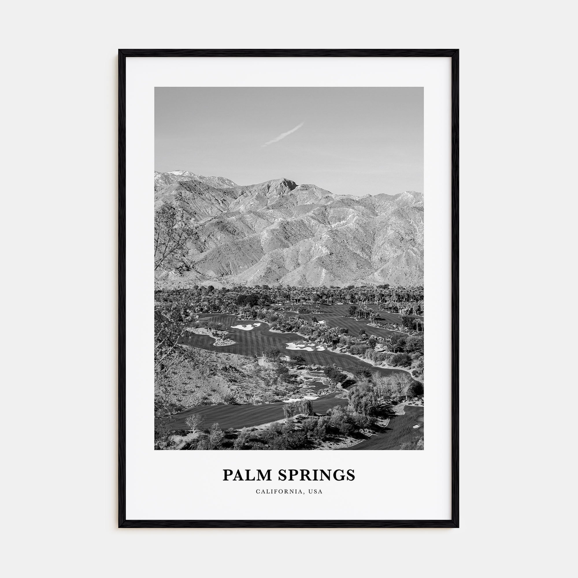 Palm Springs Portrait B&W No 2 Poster