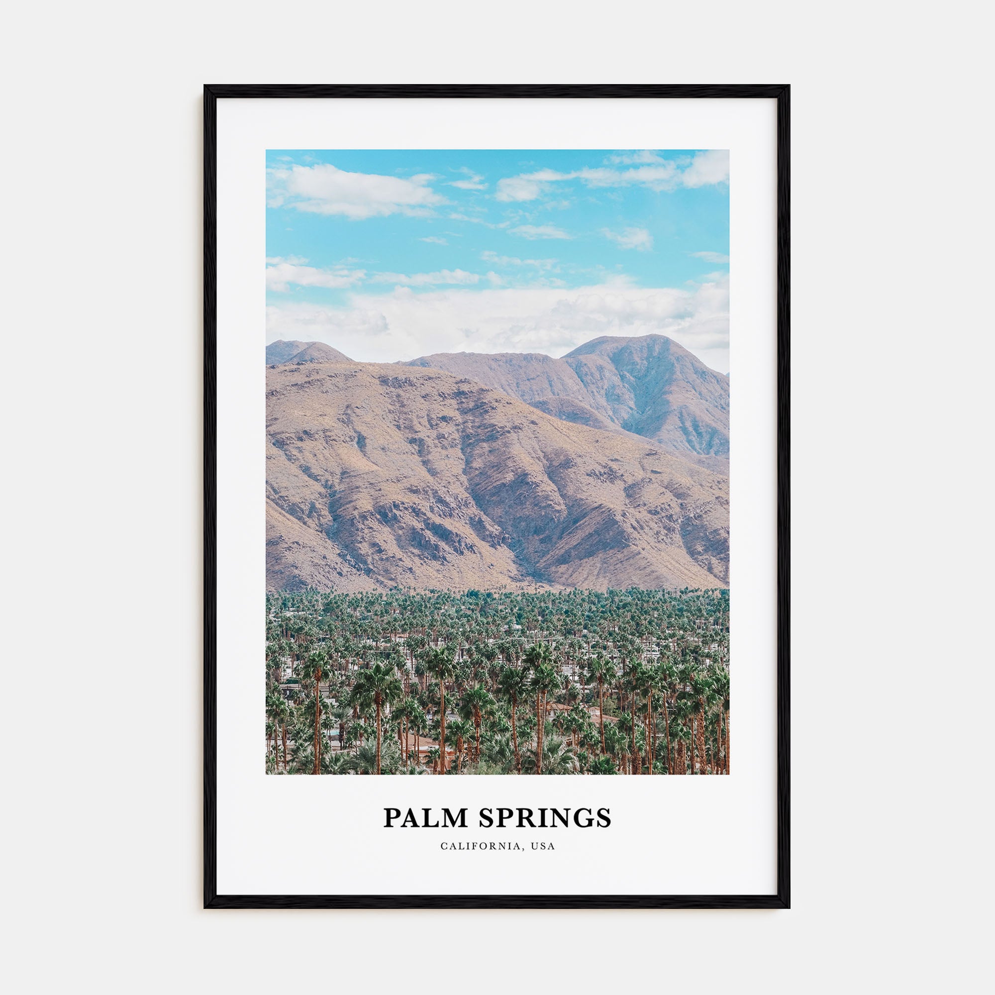 Palm Springs Portrait Color No 2 Poster