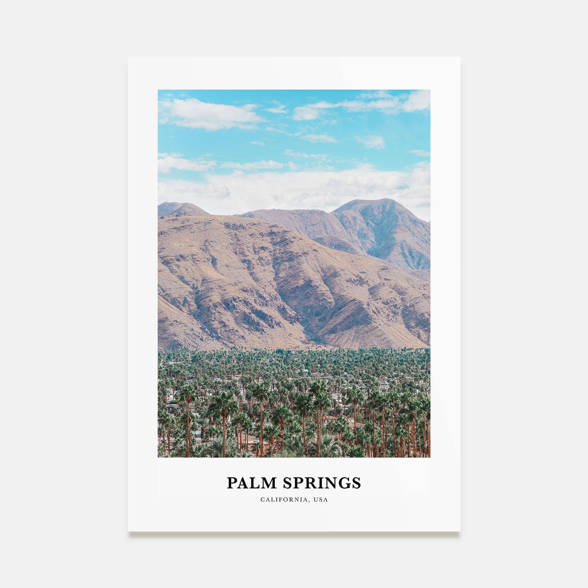 Palm Springs Portrait Color No 2 Poster