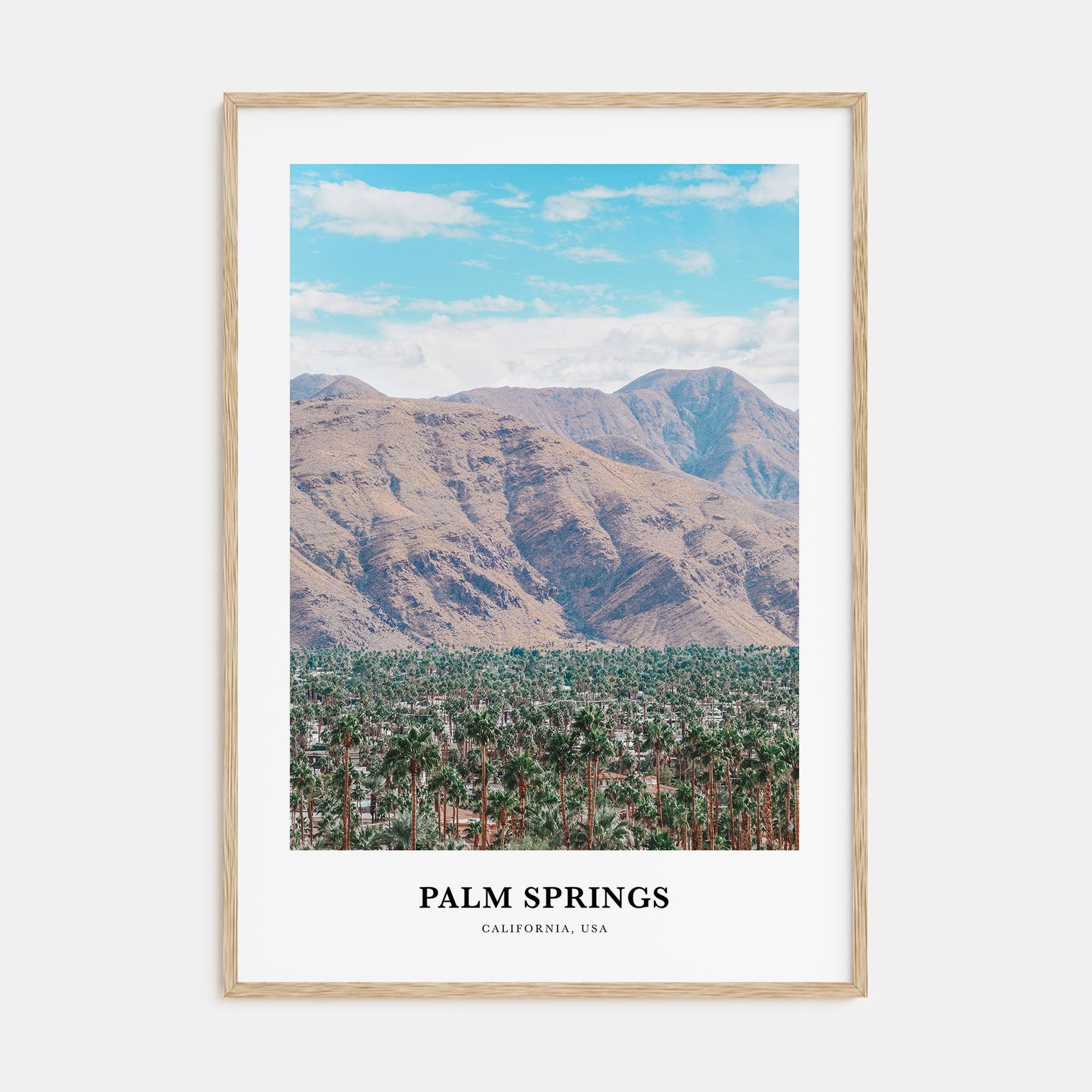 Palm Springs Portrait Color No 2 Poster