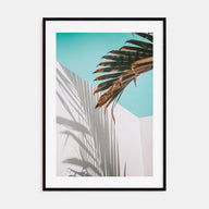 Palm Tree Shadow Photo Color Poster