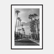 Palm Trees on Road Photo B&W Poster