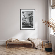 Palm Trees on Road Photo B&W Poster