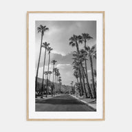 Palm Trees on Road Photo B&W Poster
