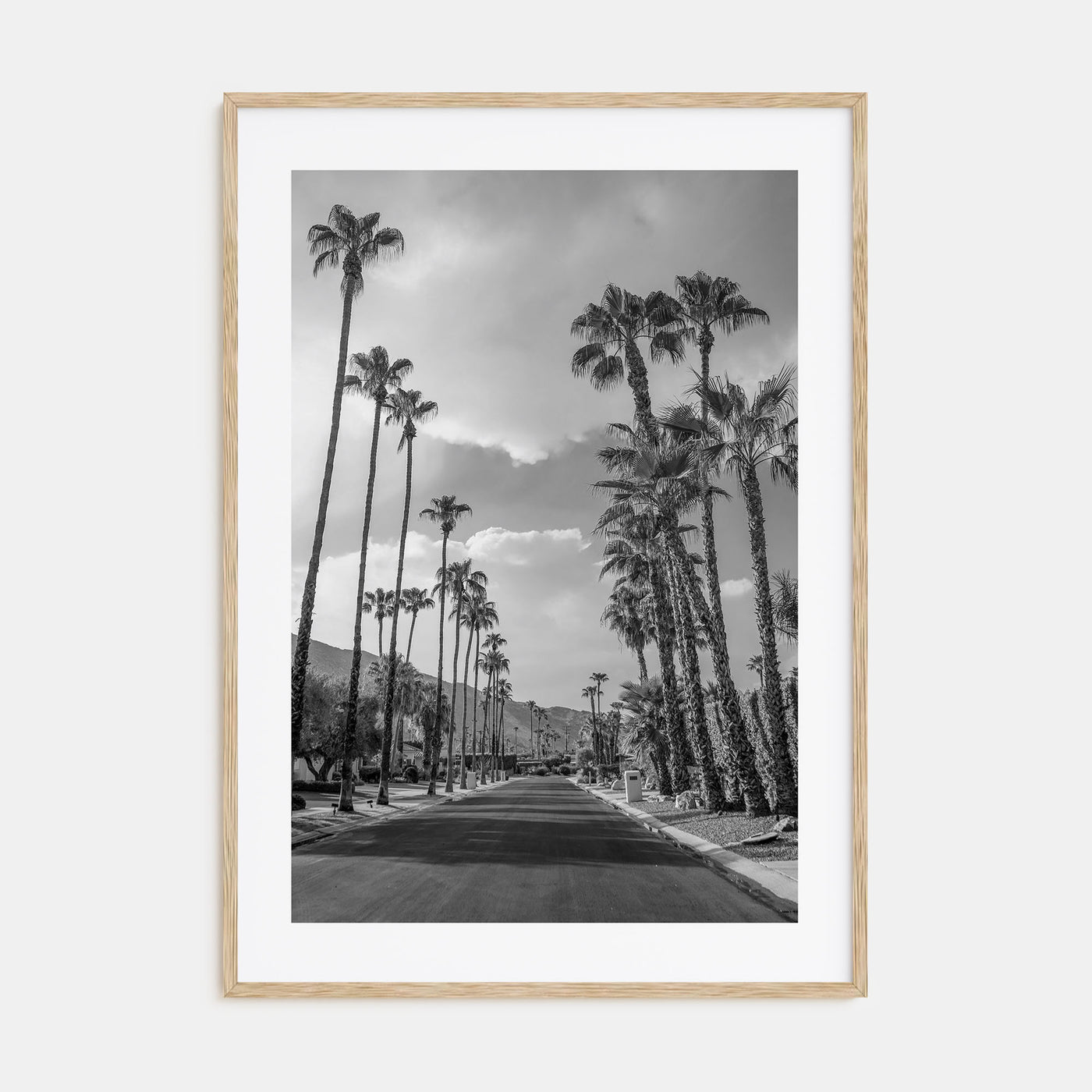 Palm Trees on Road Photo B&W Poster