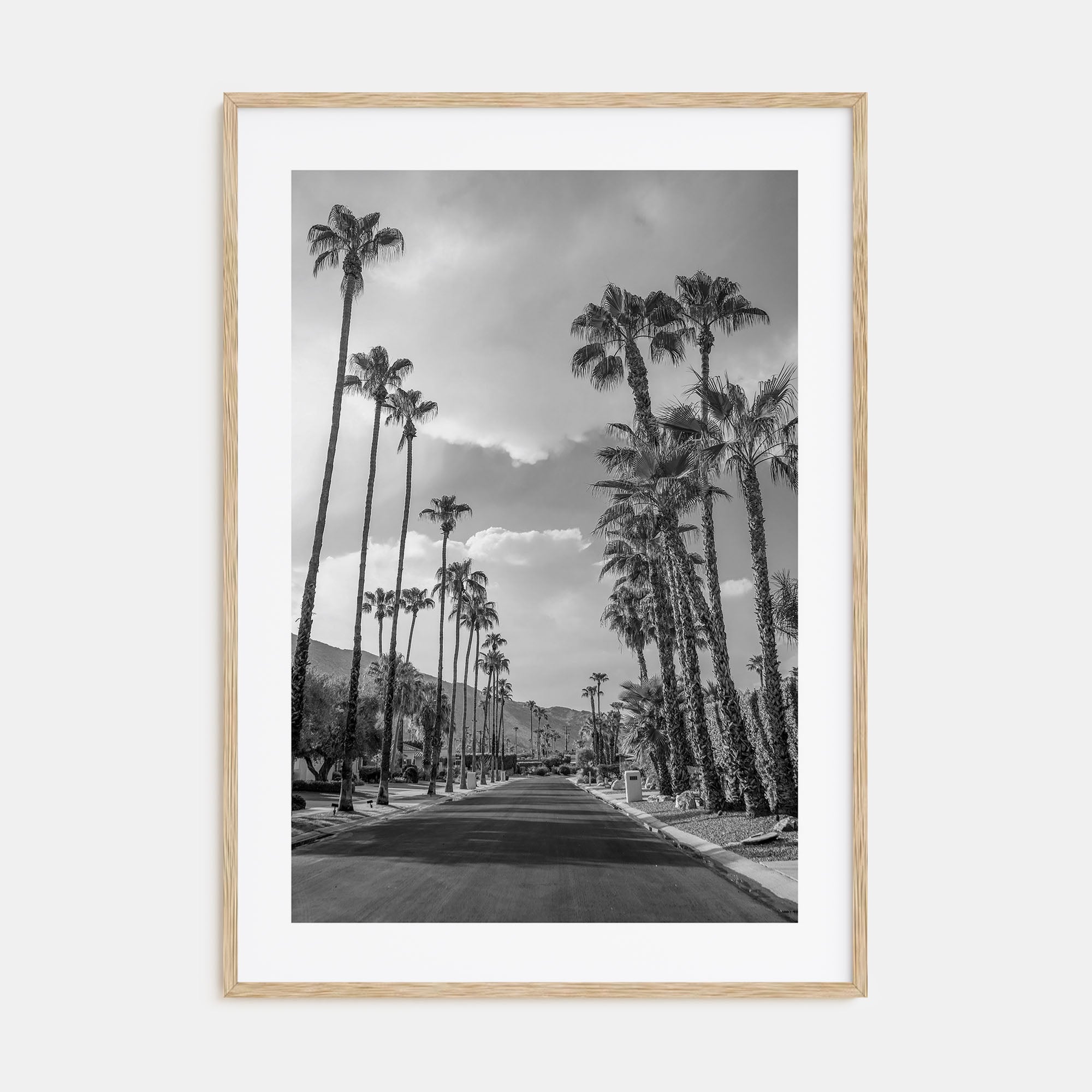 Palm Trees on Road Photo B&W Poster
