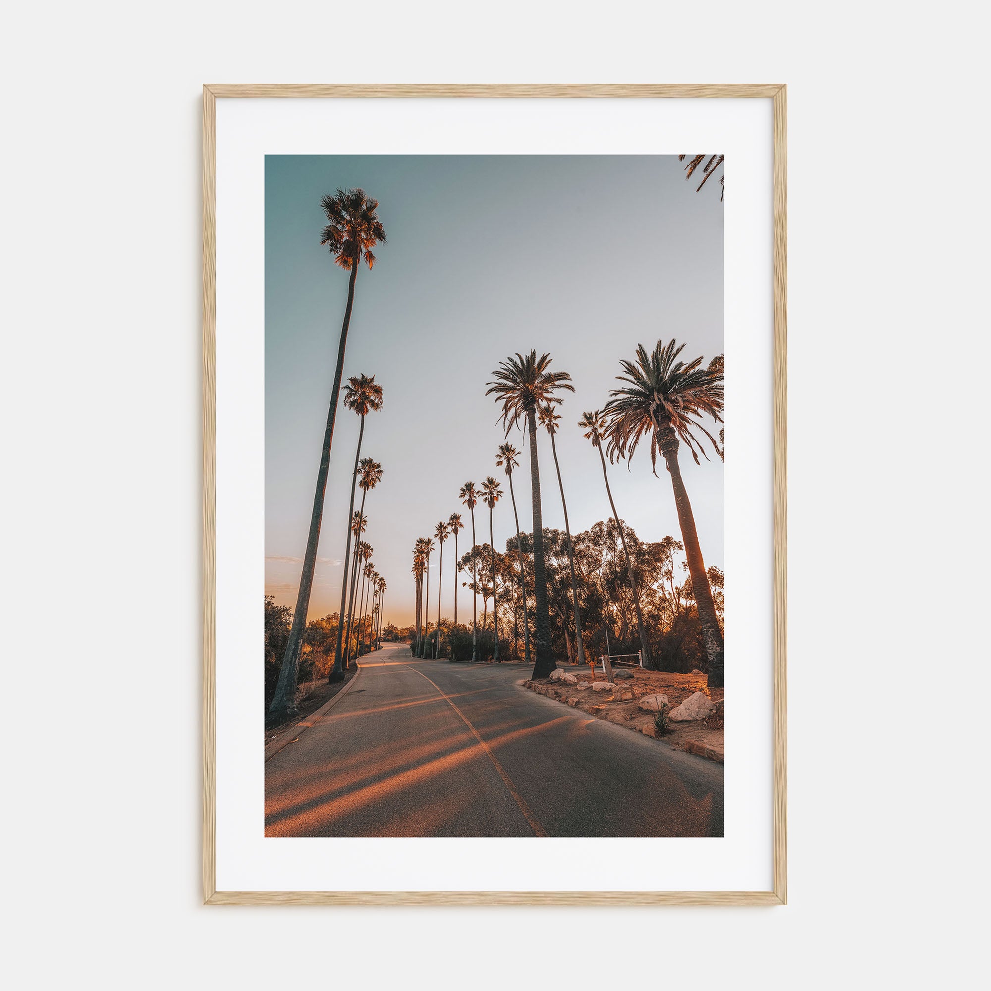 Palm Trees on Road Photo Color Poster
