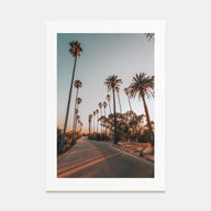 Palm Trees on Road Photo Color Poster