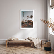 Palm Trees on Road Photo Color Poster