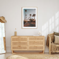 Palm Trees on Road Photo Color Poster