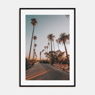 Palm Trees on Road Photo Color Poster