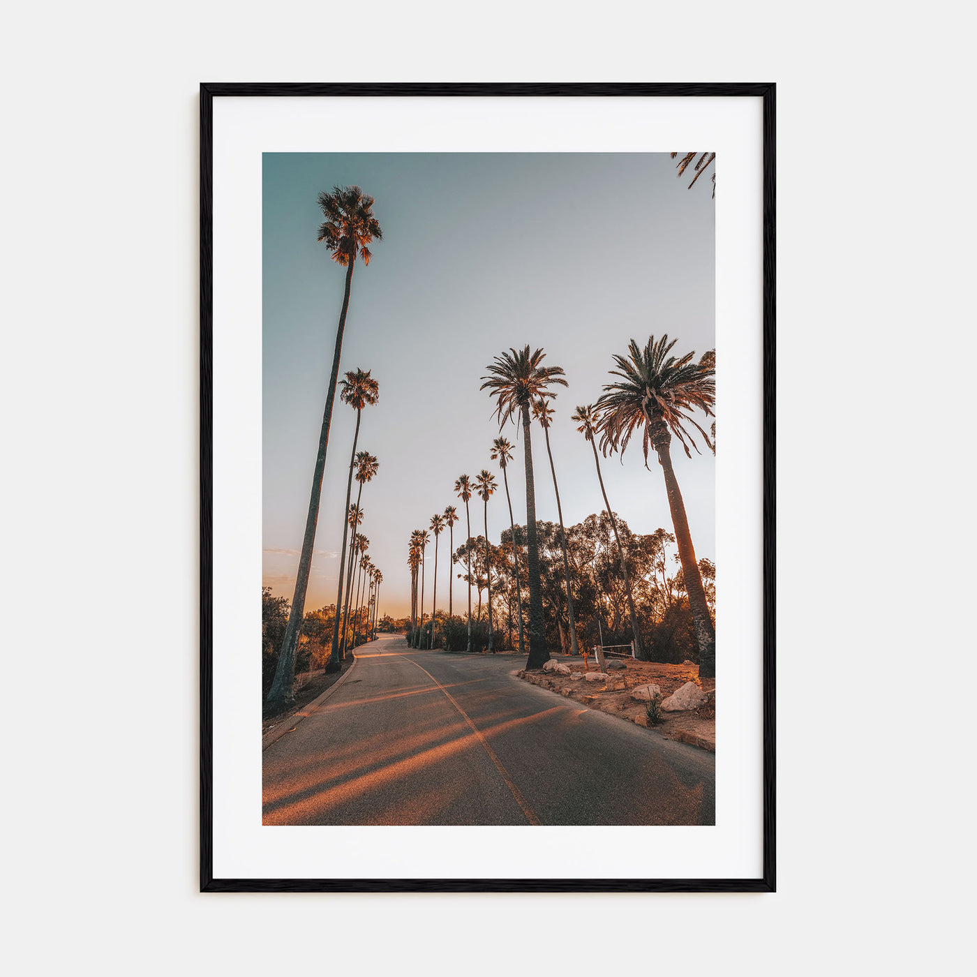 Palm Trees on Road Photo Color Poster
