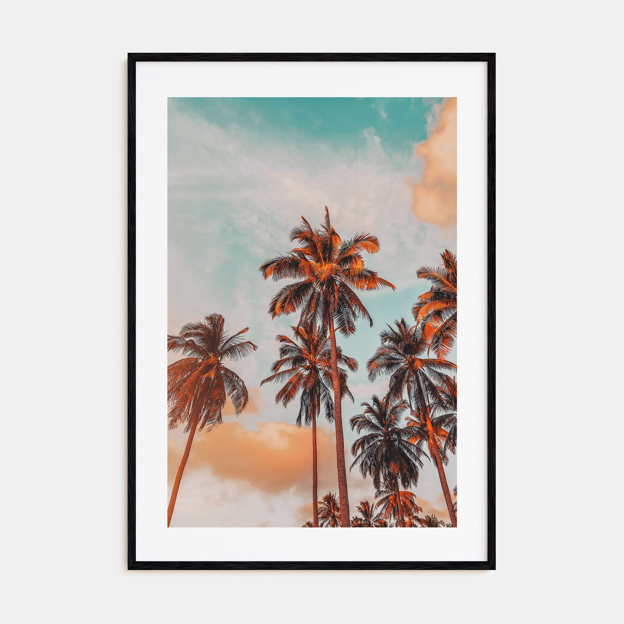 Palm Trees Photo Color No 10 Poster