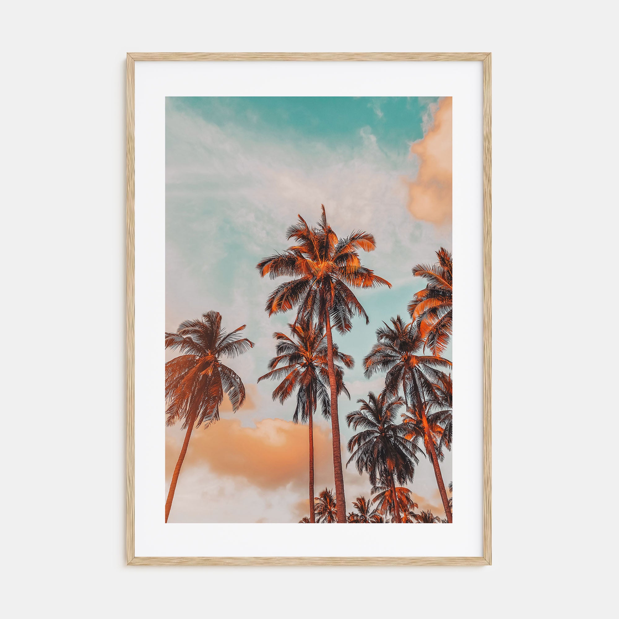 Palm Trees Photo Color No 10 Poster