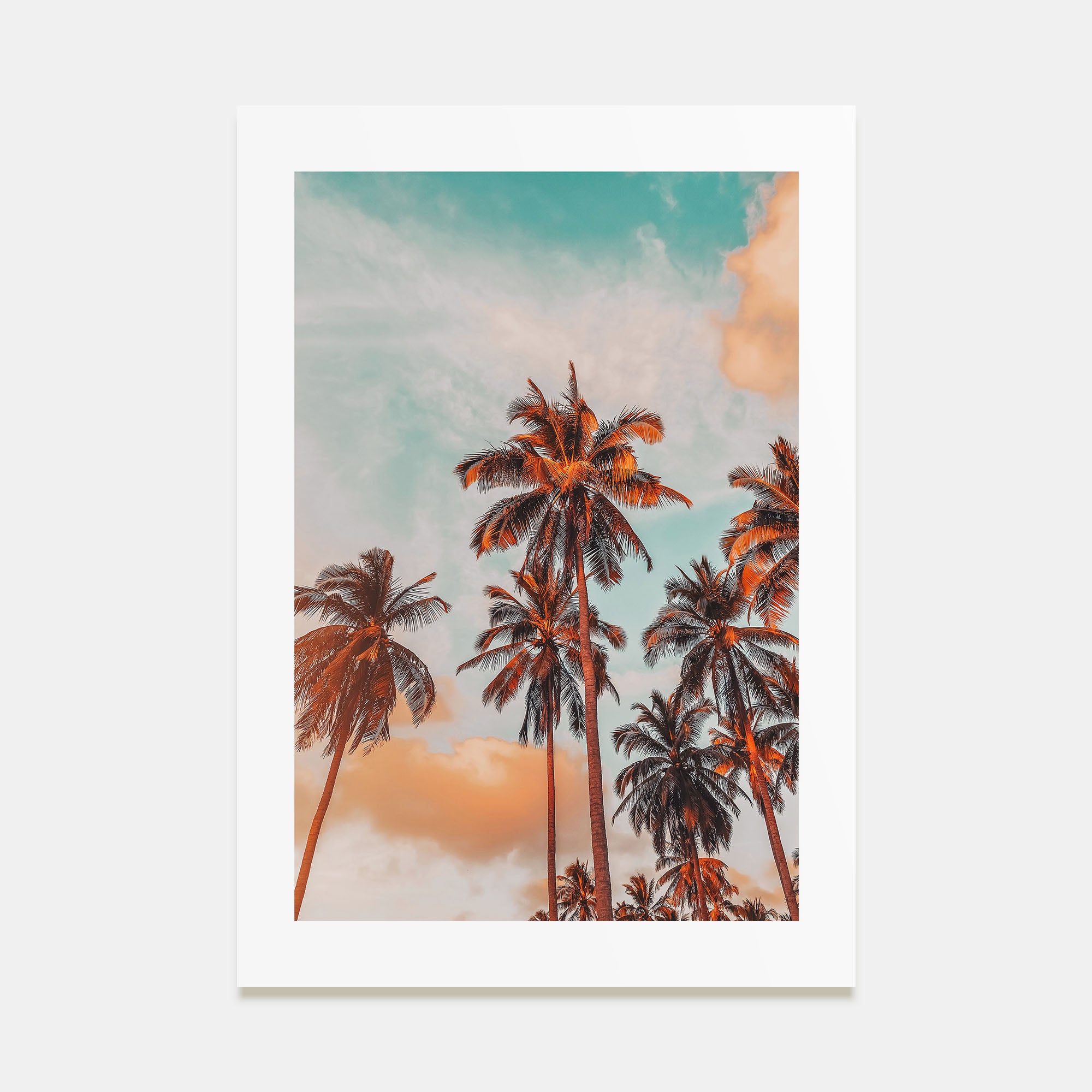 Palm Trees Photo Color No 10 Poster
