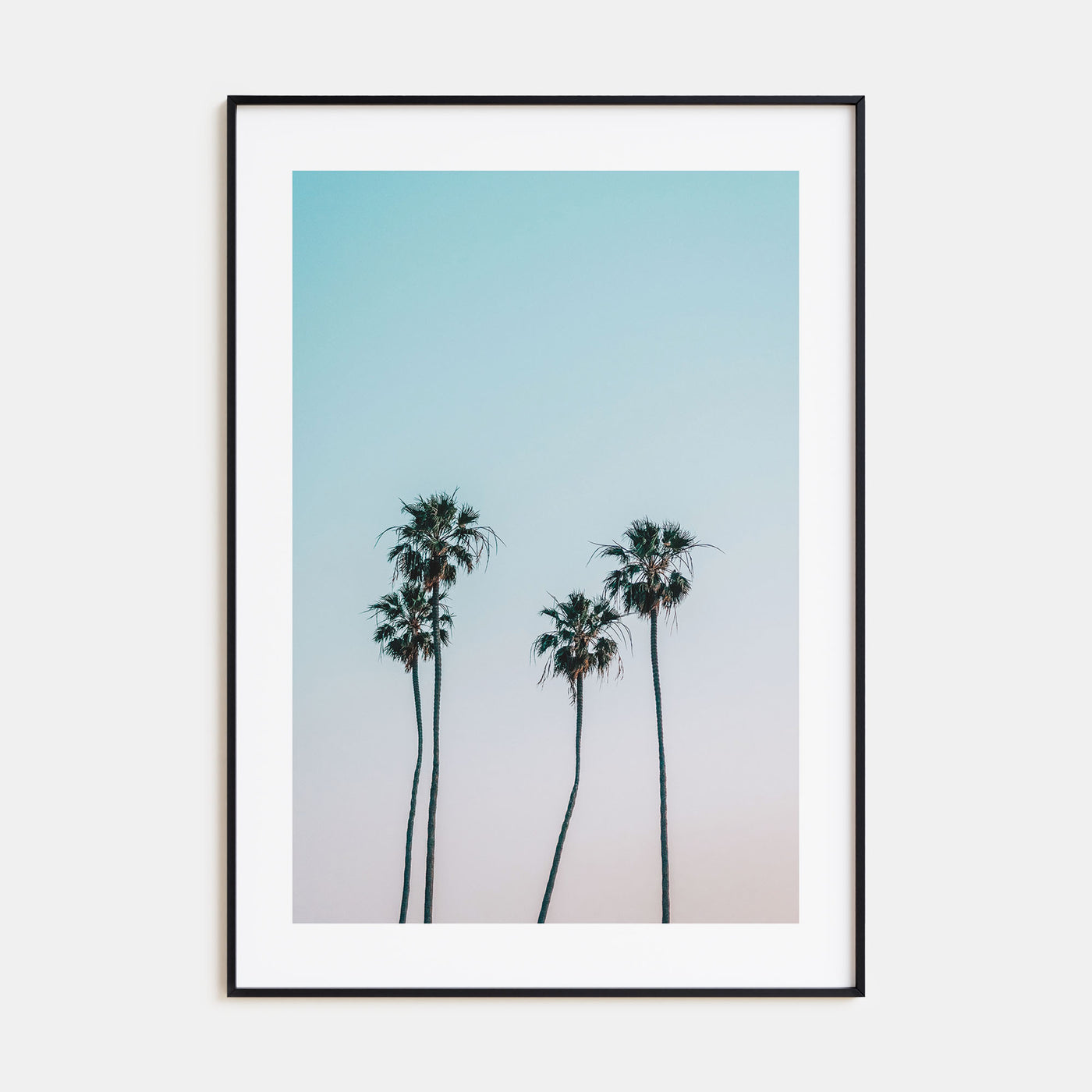 Palm Trees Photo Color No 1 Poster