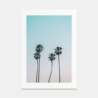 Palm Trees Photo Color No 1 Poster