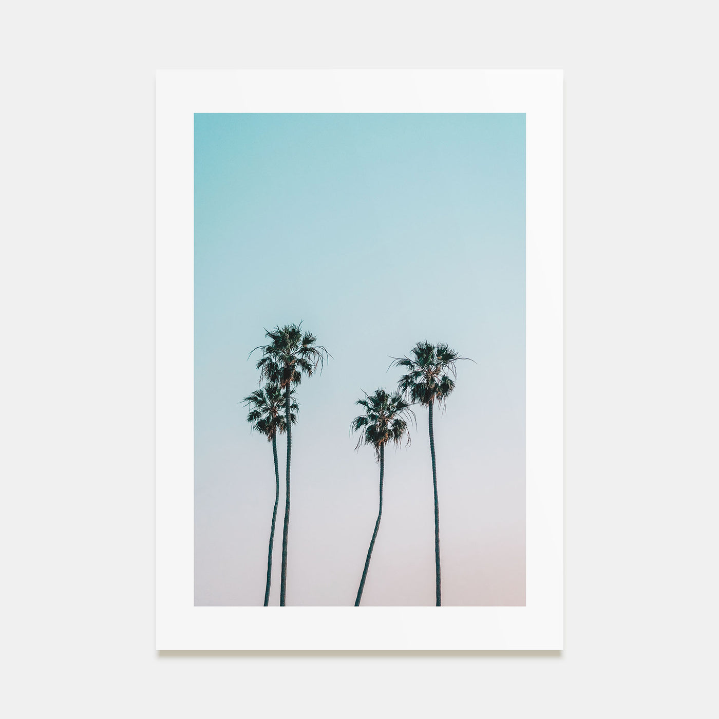 Palm Trees Photo Color No 1 Poster
