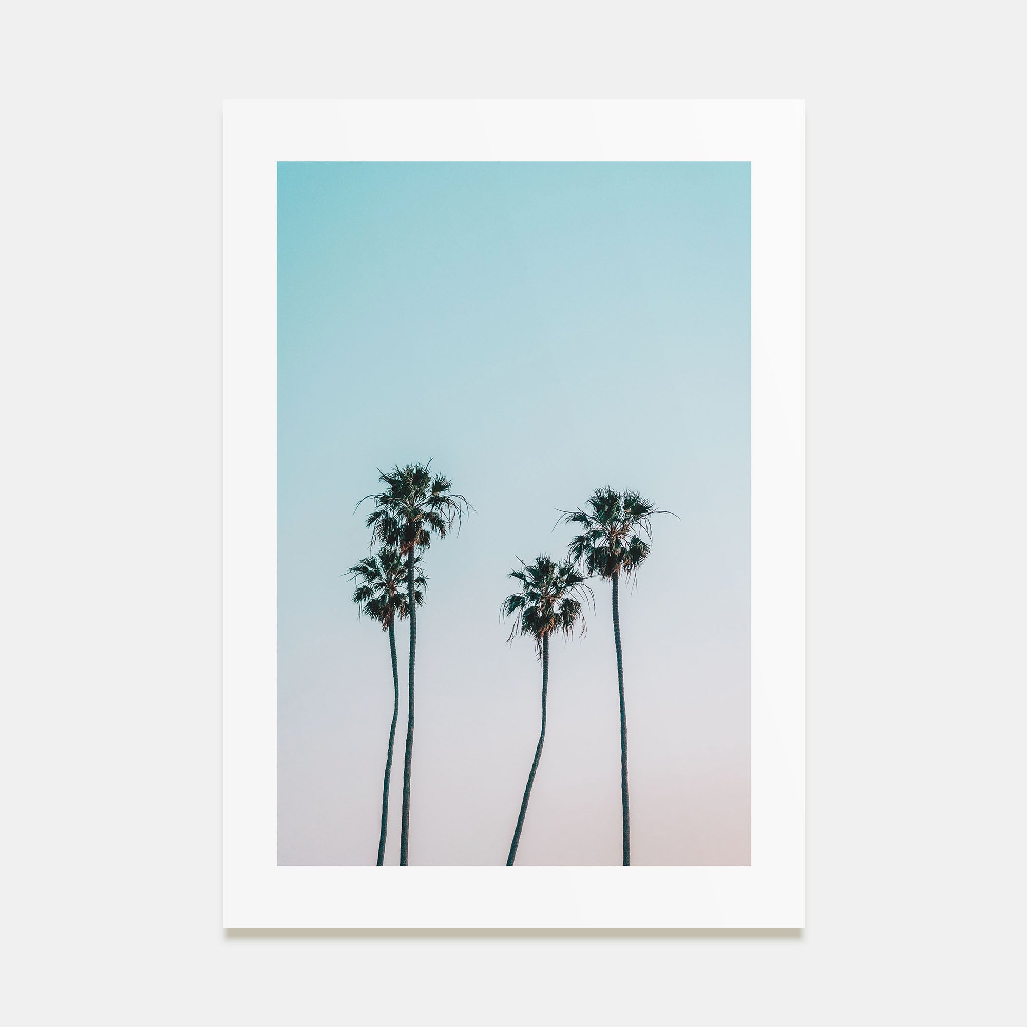 Palm Trees Photo Color No 1 Poster