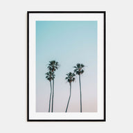 Palm Trees Photo Color No 1 Poster