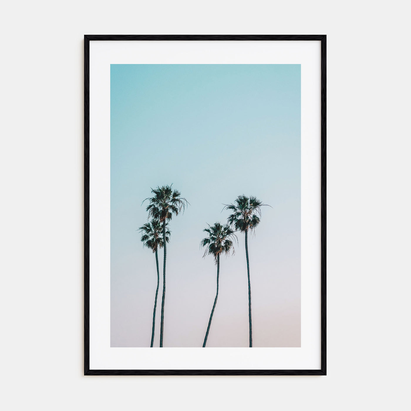 Palm Trees Photo Color No 1 Poster