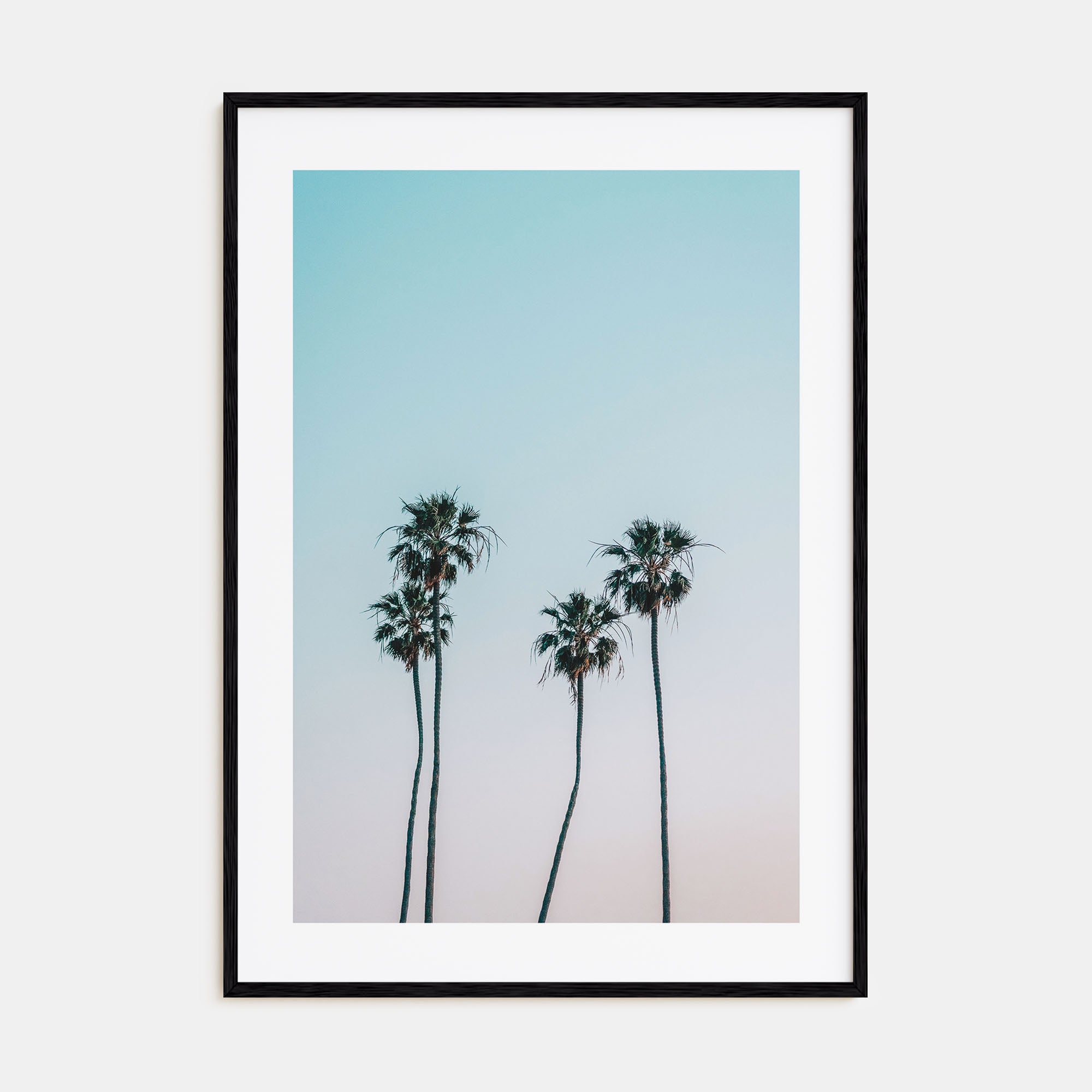 Palm Trees Photo Color No 1 Poster