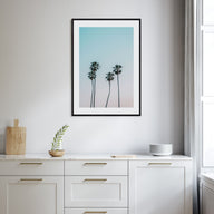 Palm Trees Photo Color No 1 Poster