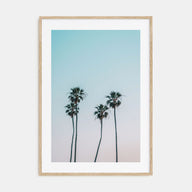 Palm Trees Photo Color No 1 Poster