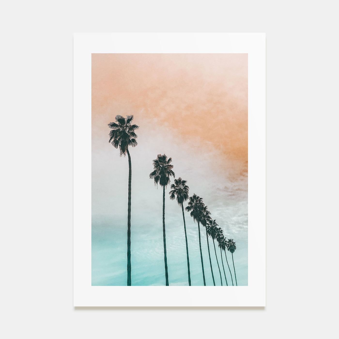 Palm Trees Photo Color No 2 Poster