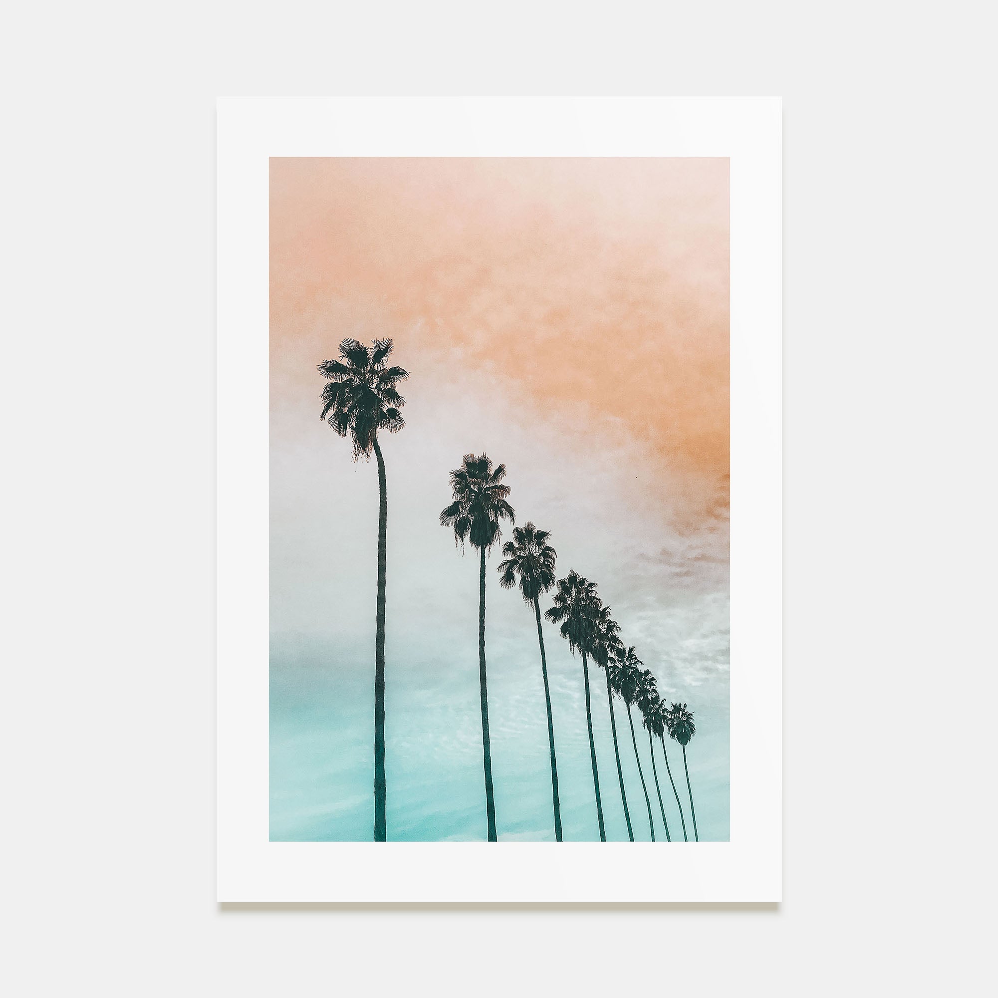 Palm Trees Photo Color No 2 Poster
