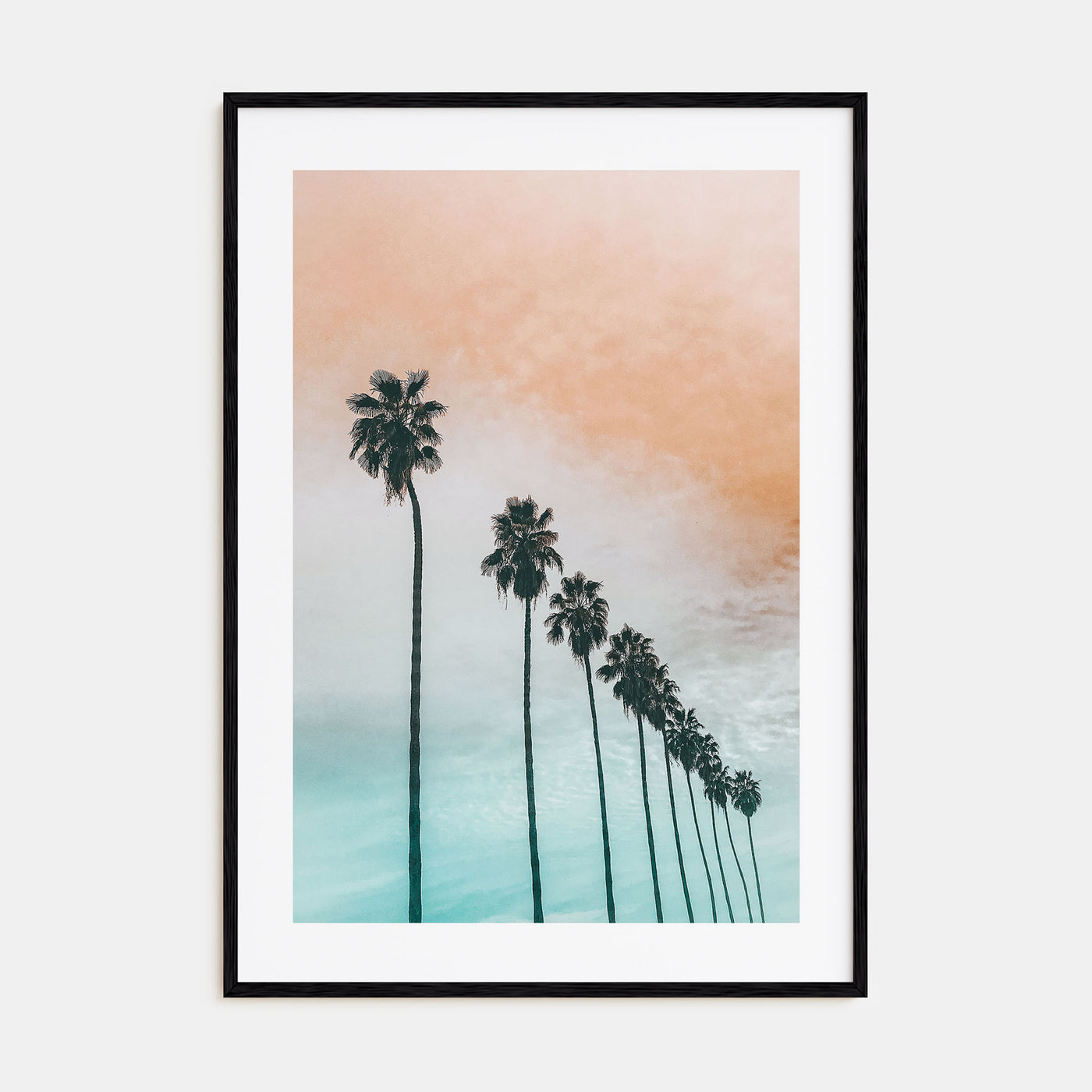 Palm Trees Photo Color No 2 Poster