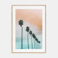 Palm Trees Photo Color No 2 Poster