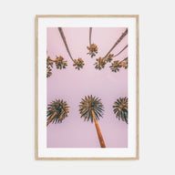 Palm Trees Photo Color No 8 Poster