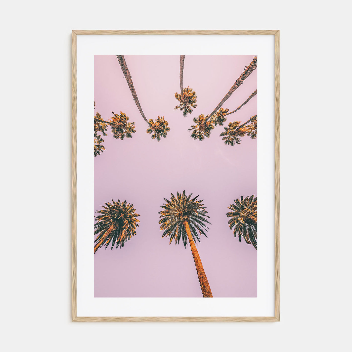 Palm Trees Photo Color No 8 Poster