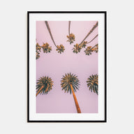 Palm Trees Photo Color No 8 Poster