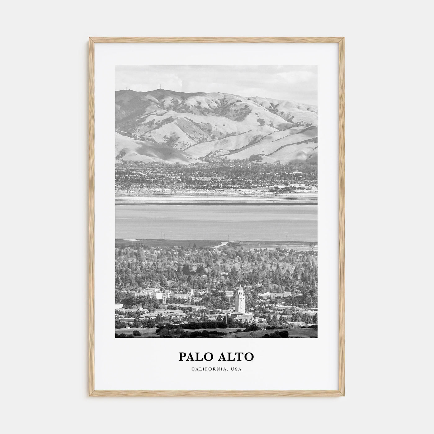 Palo Alto Portrait B&W Poster