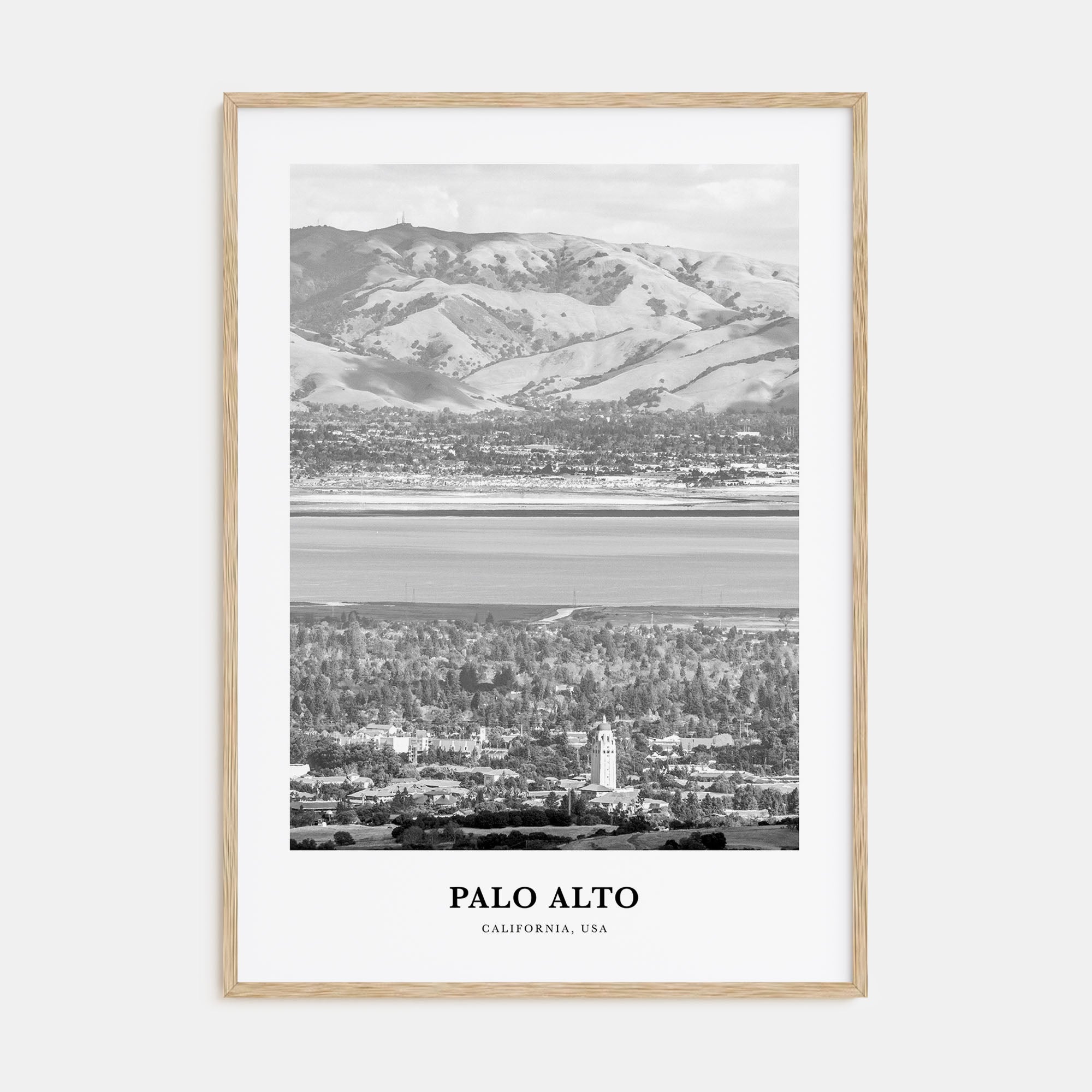Palo Alto Portrait B&W Poster
