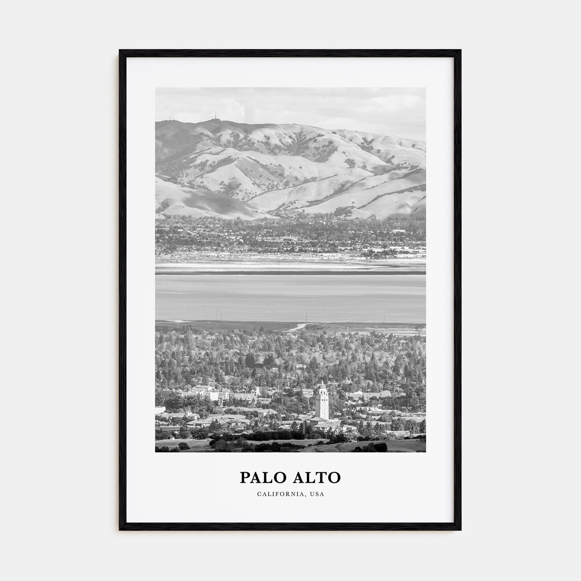 Palo Alto Portrait B&W Poster