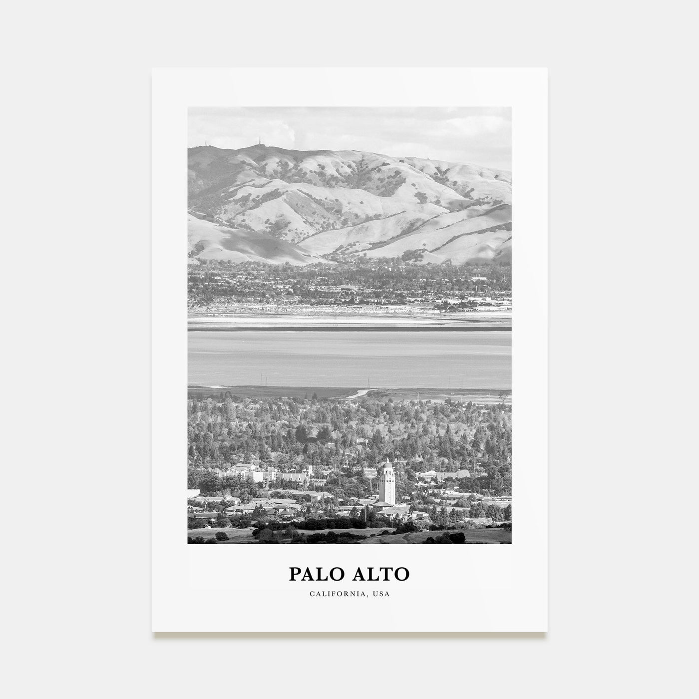 Palo Alto Portrait B&W Poster