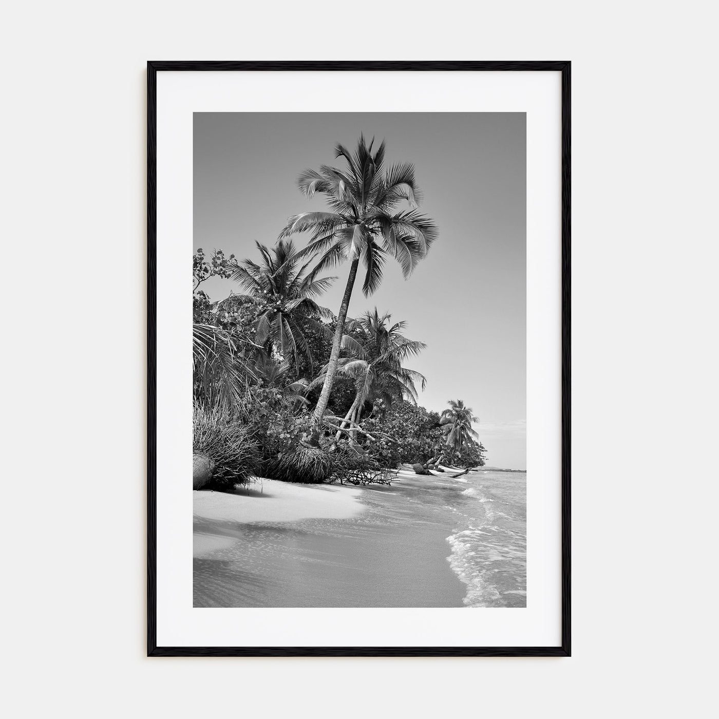 Panama Photo B&W Poster