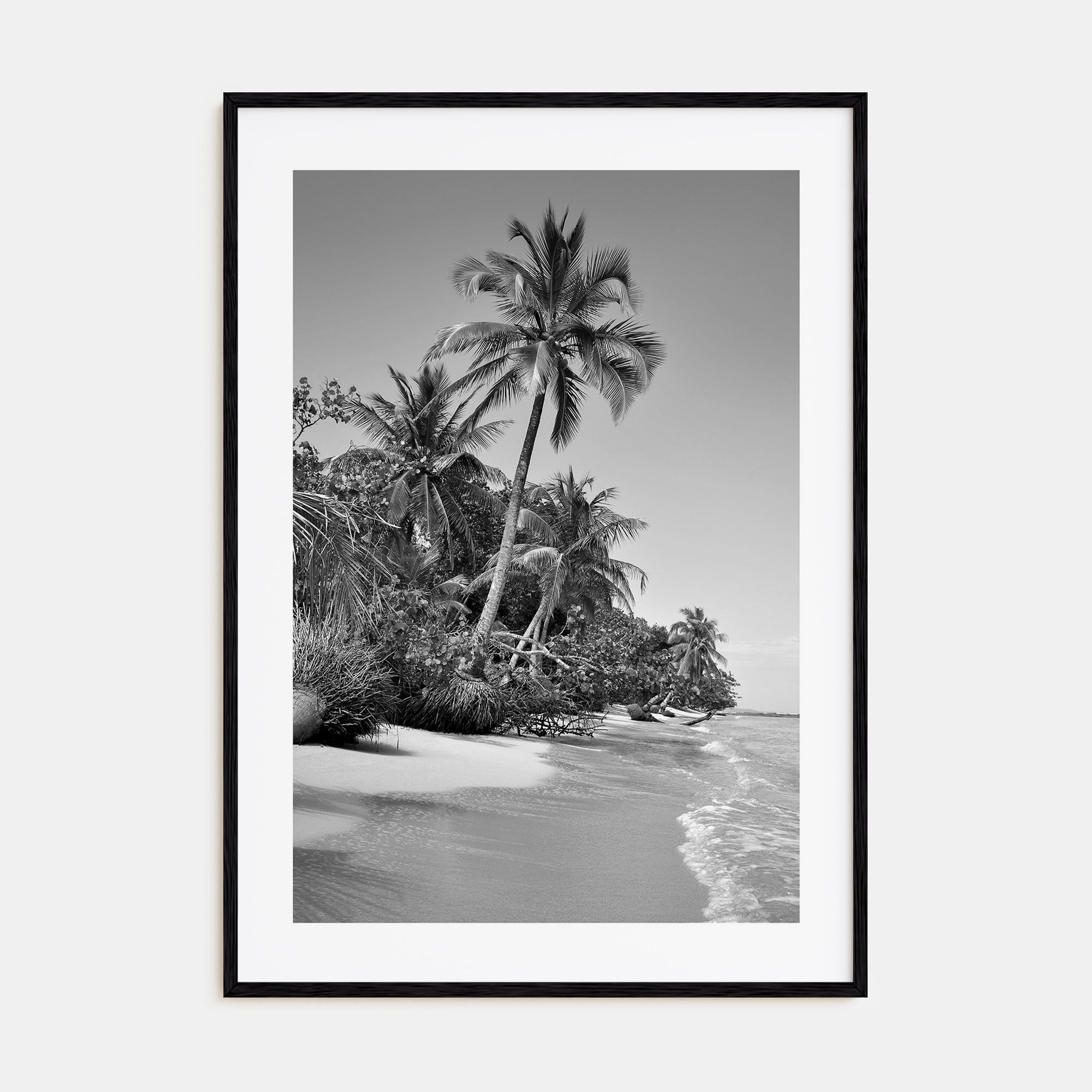 Panama Photo B&W Poster