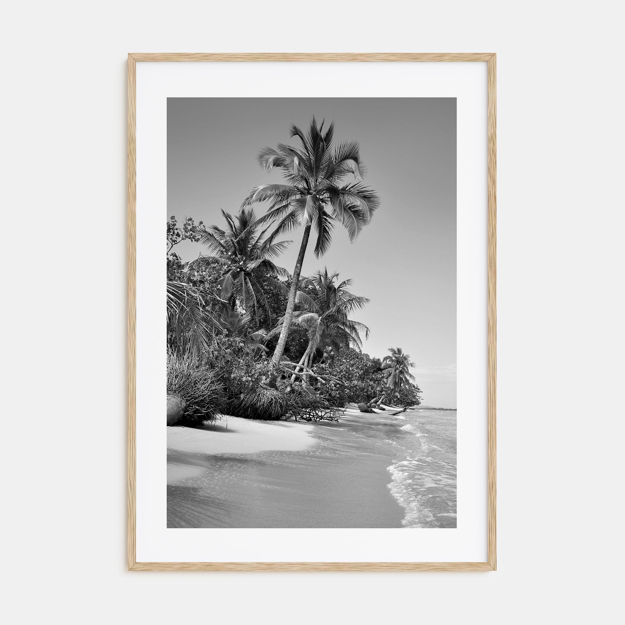 Panama Photo B&W Poster
