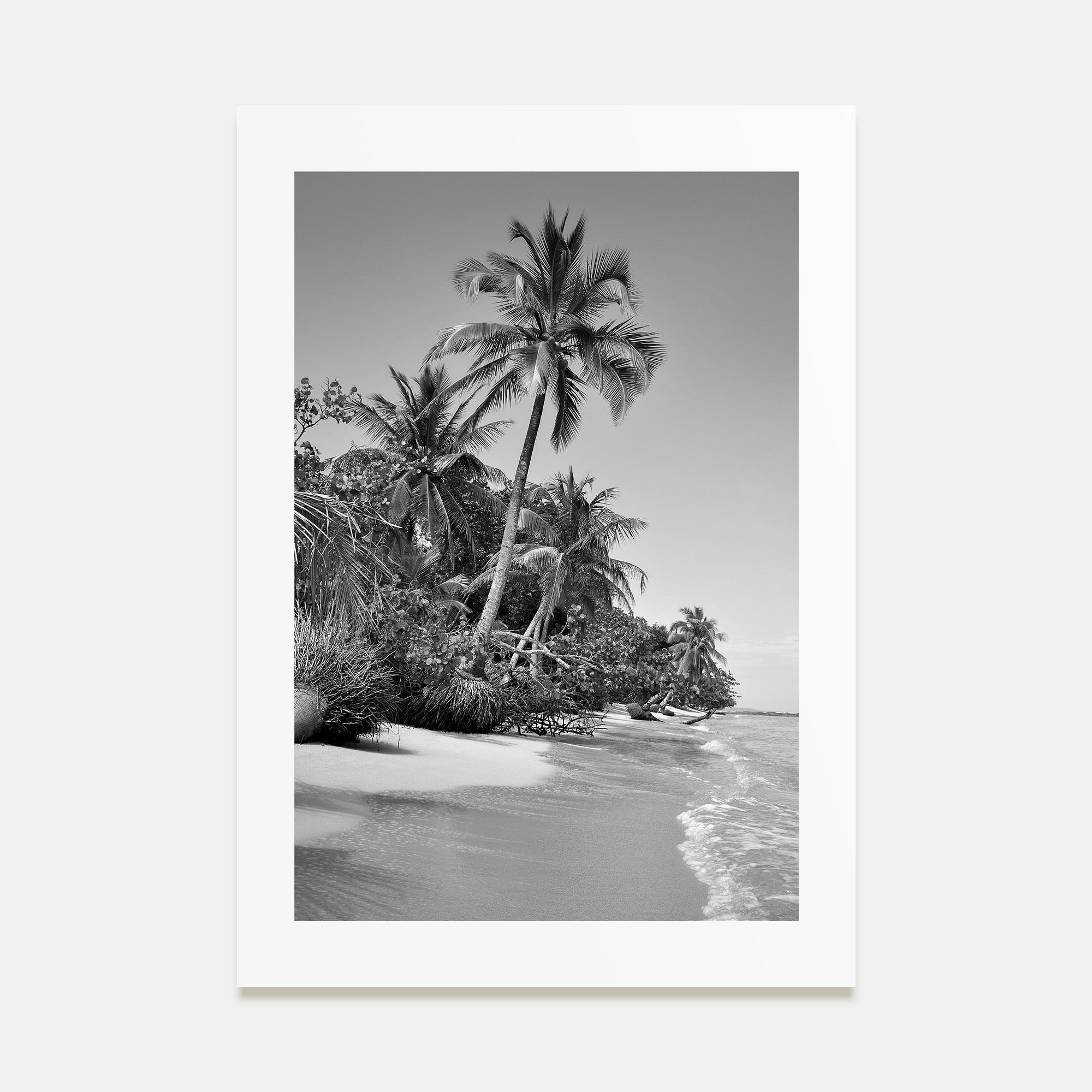 Panama Photo B&W Poster