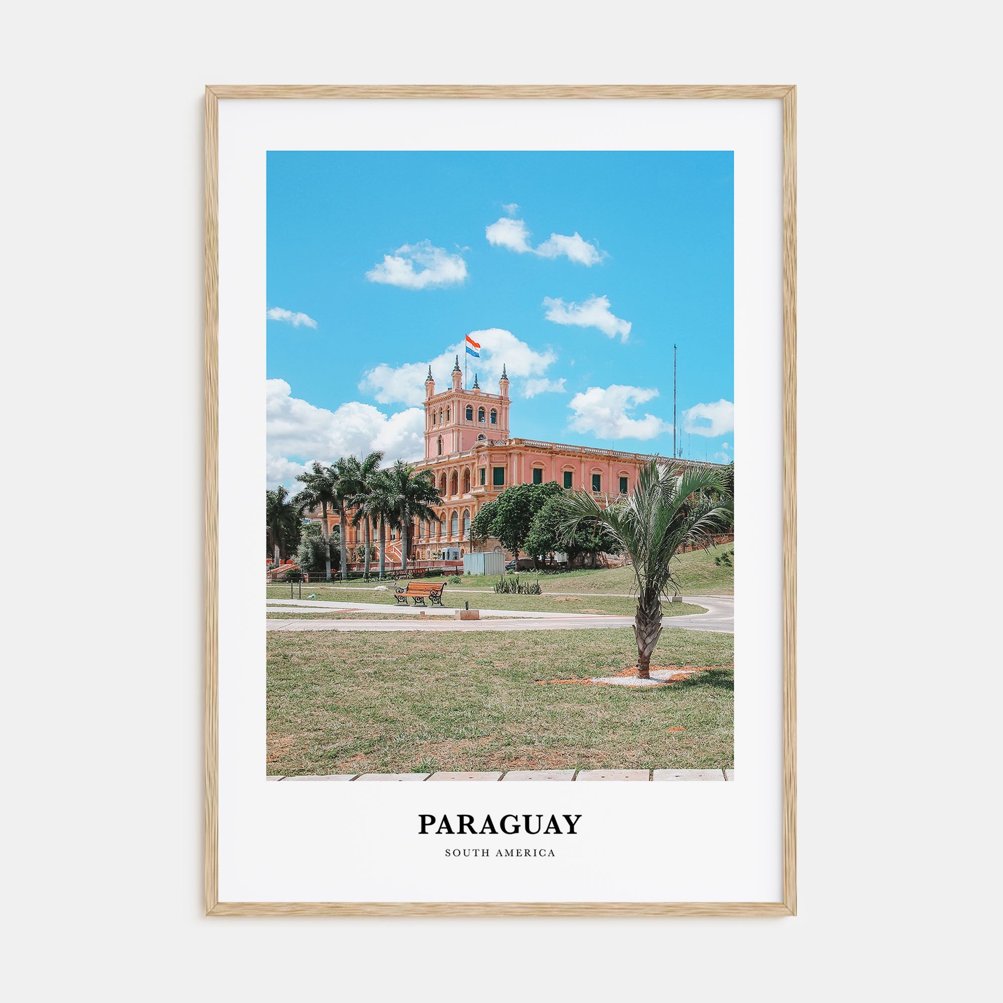 Paraguay Portrait Color Poster