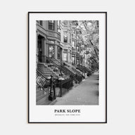 Park Slope Portrait B&W Poster